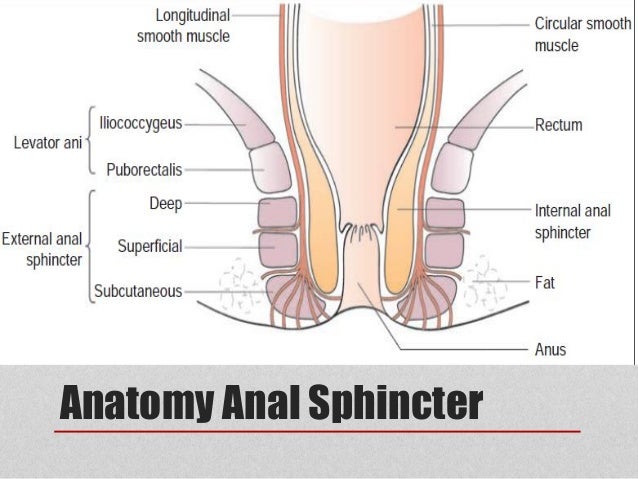 Anus rupture repair Anal bbw fack porn